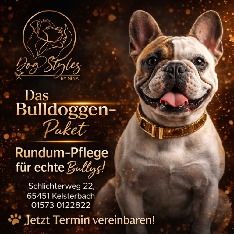Bulldoggen-Paket – Originalmotiv von Dog Styles by Nina