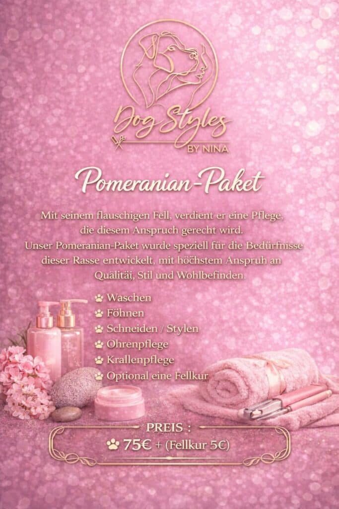 Pomeranian-Paket – Flyer mit Leistungen und Preisen