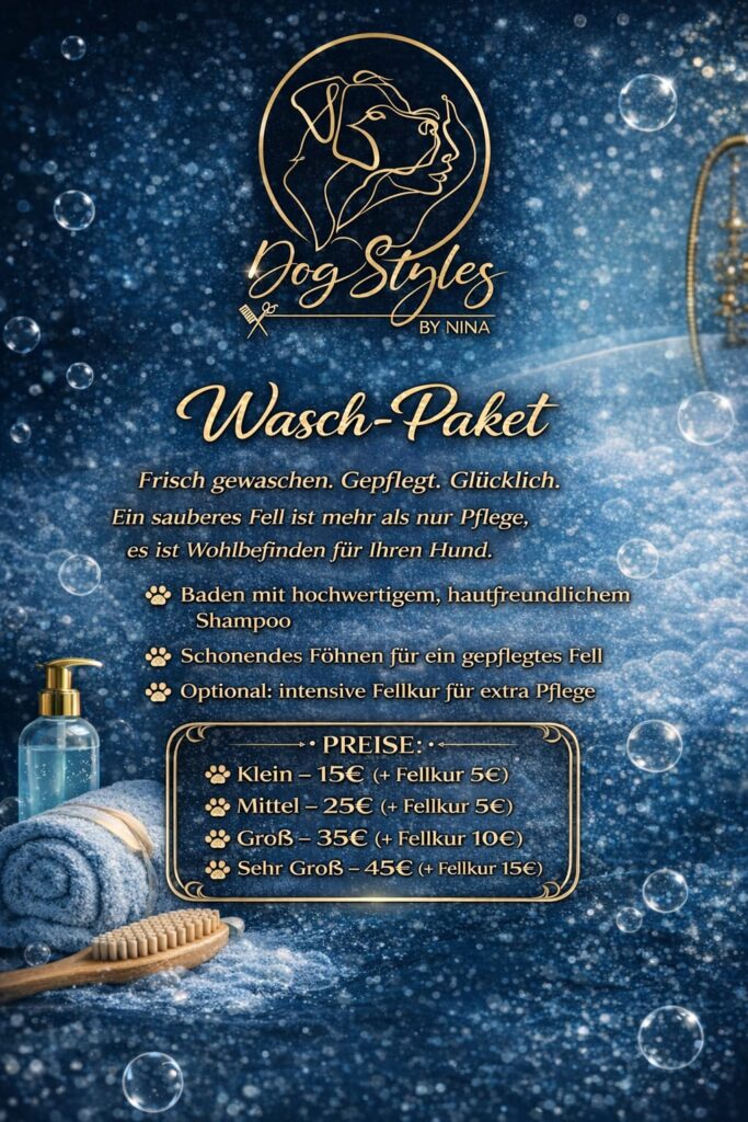 Wasch-Paket – Flyer mit Leistungen und Preisen