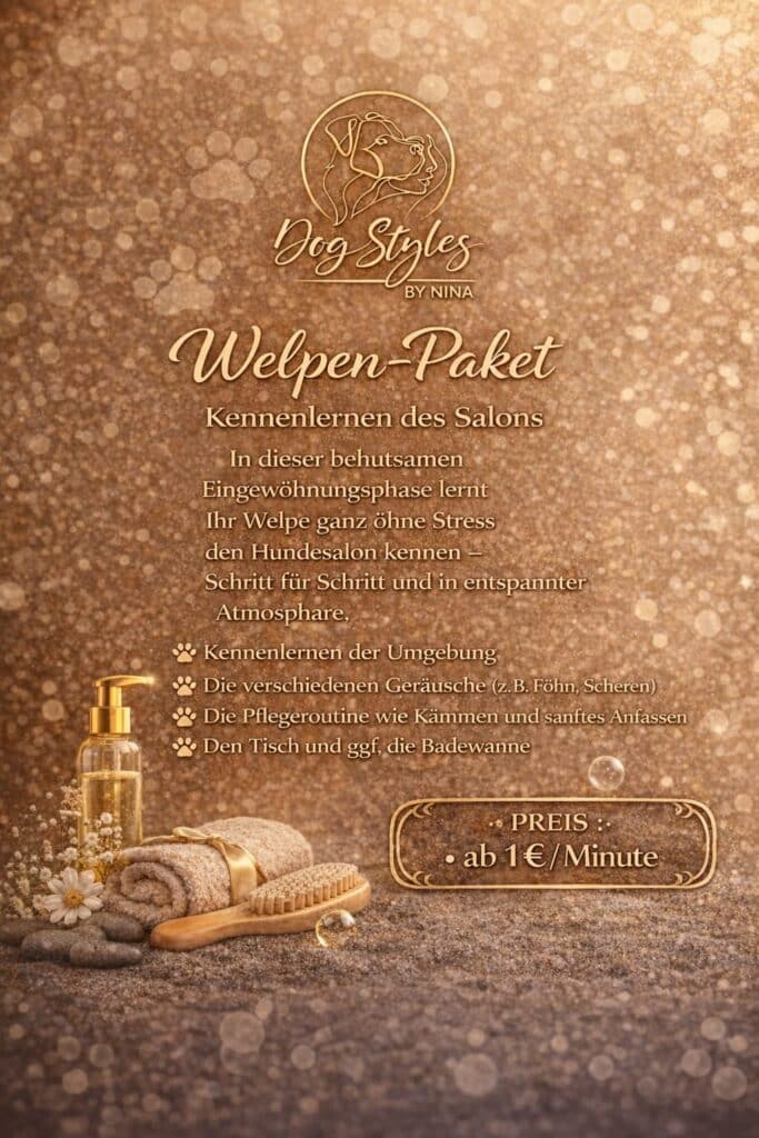 Welpen-Paket – Flyer mit Leistungen und Preisen